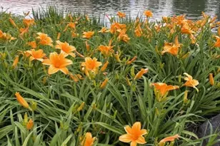 40 Prairie Park Dr, Wheeling, IL 60090 - Photo 17