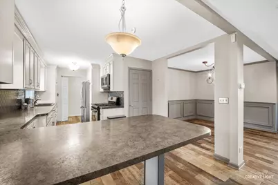 27317 W Lakeview Drive S, Lake Barrington, IL 60084 - Photo 7