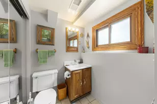 256 S Ellyn Ave, Glen Ellyn, IL 60137 - Photo 11