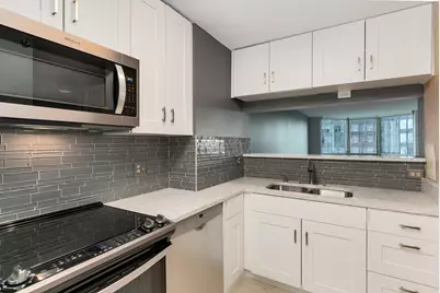 195 N Harbor Drive #406, Chicago, IL 60601 - Photo 9