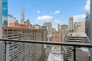 [Address not provided], Chicago, IL 60611 - Photo 19