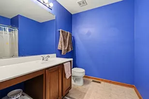 14517 Meadow Ln, Plainfield, IL 60544 - Photo 21