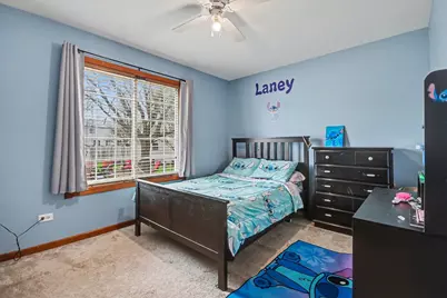 14517 Meadow Lane, Plainfield, IL 60544 - Photo 13