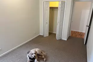 900 N Ashland Ave, Chicago, IL 60622 - Photo 17