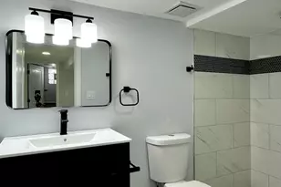 7317 S Mozart St, Chicago, IL 60629 - Photo 17