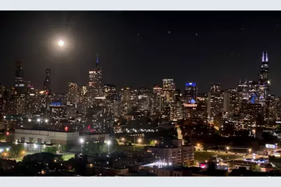 860 W Blackhawk Street #2108, Chicago, IL 60642 - Photo 3