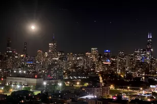 860 W Blackhawk St, Chicago, IL 60642 - Photo 3