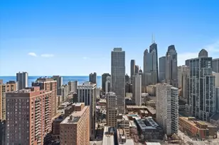 111 W Maple St, Chicago, IL 60610 - Photo 13