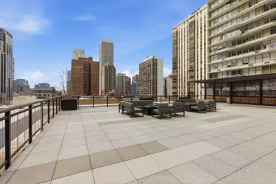1000 N Lake Shore Plaza #30C, Chicago, IL 60611 - Photo 21