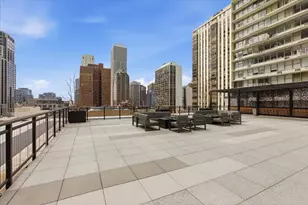 1000 N Lake Shore Plaza, Chicago, IL 60611 - Photo 21
