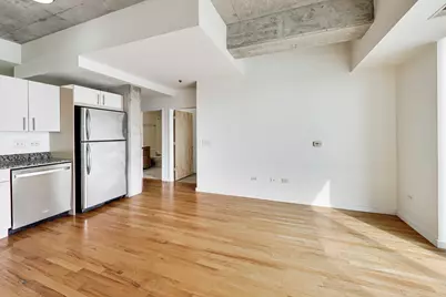 1620 S Michigan Avenue #1124, Chicago, IL 60616 - Photo 13