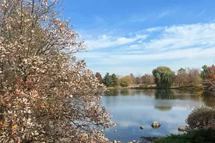 2221 Sassafras Wy, Wonder Lake, IL 60097 - Photo 41