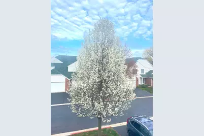 106 Pembroke Circle S #106, Lake Bluff, IL 60044 - Photo 3