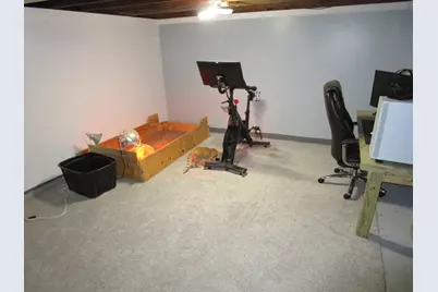 205 W Seminole Street, Dwight, IL 60420 - Photo 15