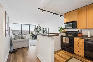 1560 N Sandburg Terrace, Chicago, IL 60610 - Photo 3