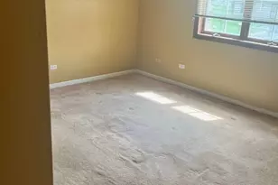 18320 Robin Ln, Homewood, IL 60430 - Photo 17