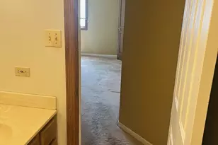 18320 Robin Ln, Homewood, IL 60430 - Photo 19