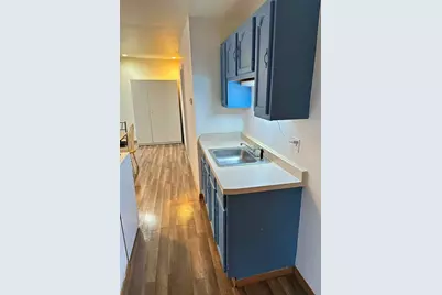 2904 S Wells Street, Chicago, IL 60616 - Photo 5