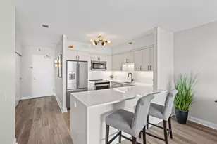 512 N McClurg Ct, Chicago, IL 60611 - Photo 11