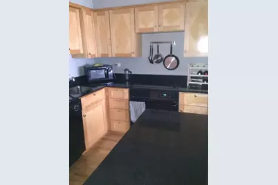 175 E Delaware Place #4807, Chicago, IL 60611 - Photo 9