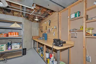 302 Miller St, Beecher, IL 60401 - Photo 27