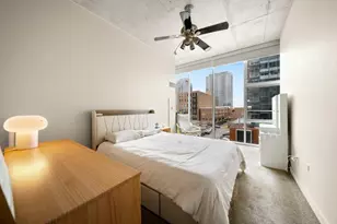 1720 S Michigan Ave, Chicago, IL 60616 - Photo 23