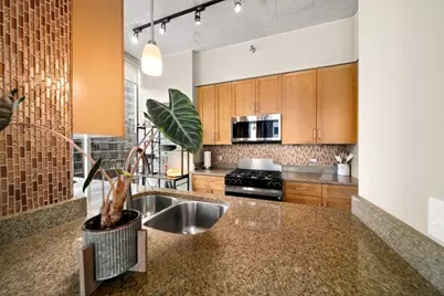 1720 S Michigan Avenue #401, Chicago, IL 60616 - Photo 13
