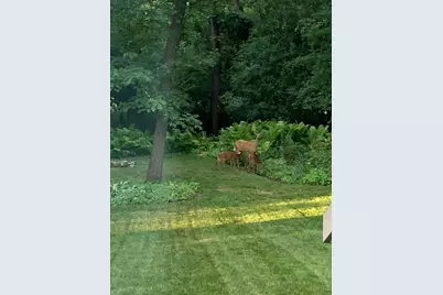 674 Wood Creek Drive, Antioch, IL 60002 - Photo 53