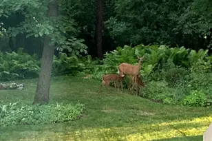 674 Wood Creek Dr, Antioch, IL 60002 - Photo 53