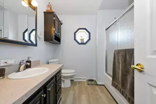 10719 W Butterfield Dr, Frankfort, IL 60423 - Photo 25