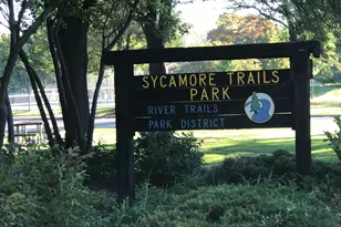 1004 N Greenfield Ln, Mount Prospect, IL 60056 - Photo 37