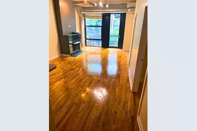 1151 W 14th Place #204, Chicago, IL 60608 - Photo 3