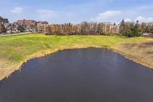 455 W Wood St, Palatine, IL 60067 - Photo 45