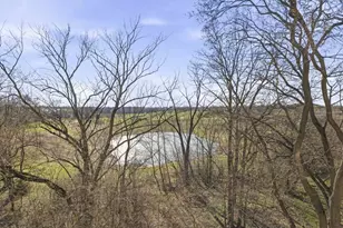 455 W Wood St, Palatine, IL 60067 - Photo 9