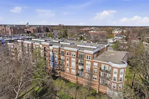 455 W Wood St, Palatine, IL 60067 - Photo 43