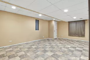 283 Spring Lake Dr, Round Lake, IL 60073 - Photo 23