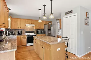 283 Spring Lake Dr, Round Lake, IL 60073 - Photo 3