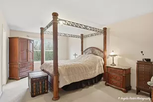 283 Spring Lake Dr, Round Lake, IL 60073 - Photo 13