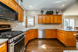 203 Cambridge Ct, Oswego, IL 60543 - Photo 9