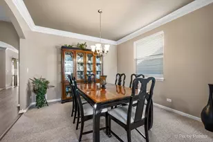 748 Cashmere Ln, Elgin, IL 60124 - Photo 9