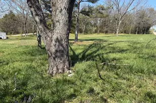 110 Cherokee Dr, Orangeville, IL 62939 - Photo 1