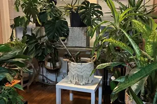 340 S Homan St, Chicago, IL 60624 - Photo 11