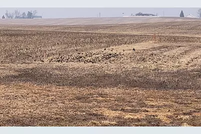 000 2401st Road N, Ottawa, IL 61350 - Photo 7