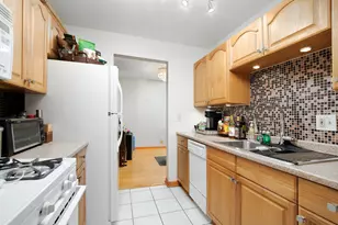 914 N Austin Blvd, Oak Park, IL 60302 - Photo 7