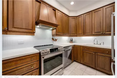 70 E Cedar Street #14WS, Chicago, IL 60611 - Photo 9