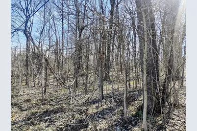 35W339-41 Riverside Drive, Saint Charles, IL 60174 - Photo 1