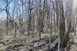 35W339-41 Riverside Dr, Saint Charles, IL 60174 - Photo 1