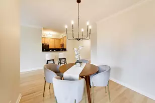 435 W Erie St, Chicago, IL 60654 - Photo 11