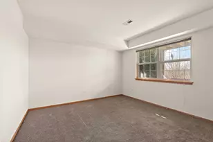 6881 Geneva Dr, Tinley Park, IL 60477 - Photo 19