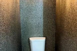 7381 S Madison St, Burr Ridge, IL 60527 - Photo 9